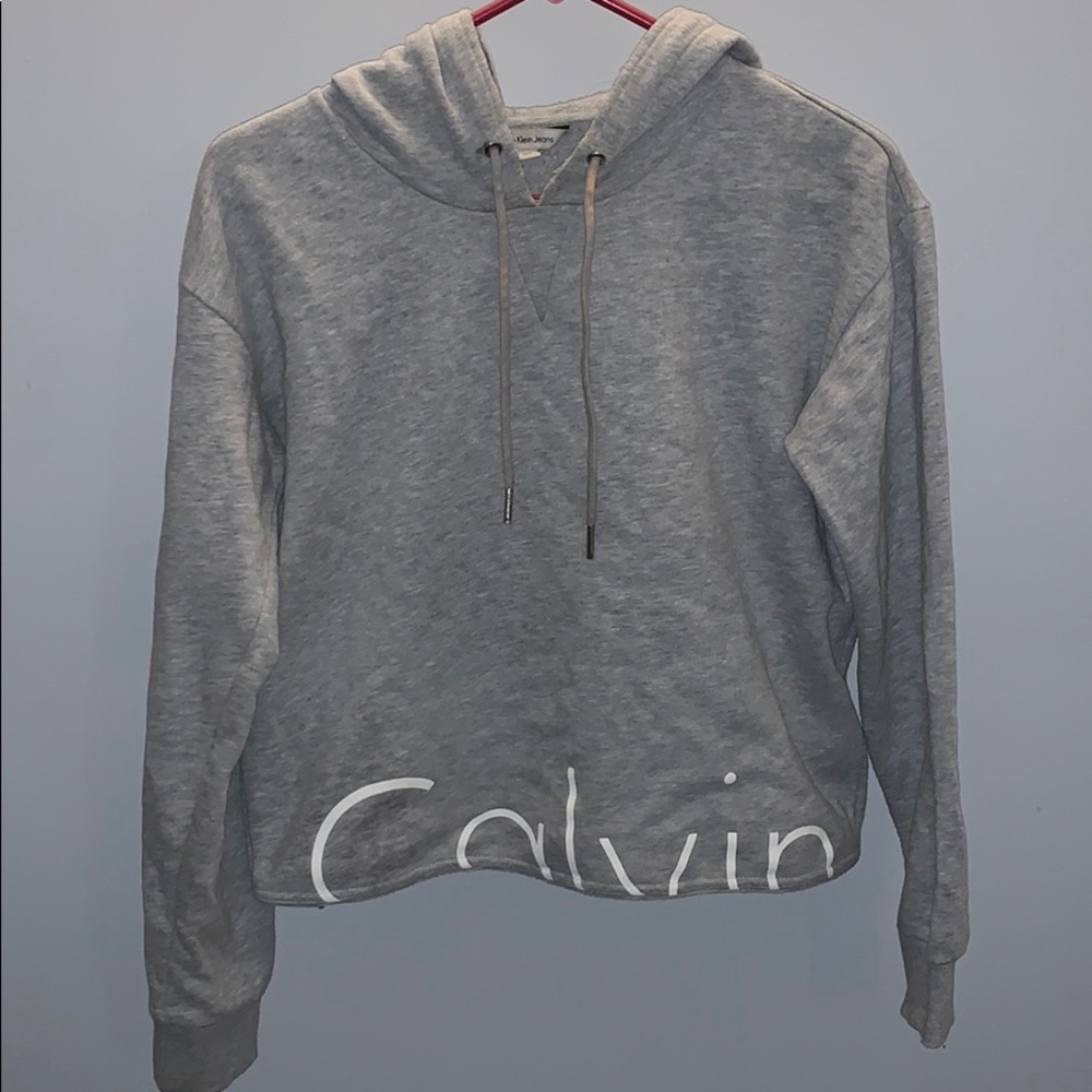 Calvin Klein Cropped Hooded Sweatshirt